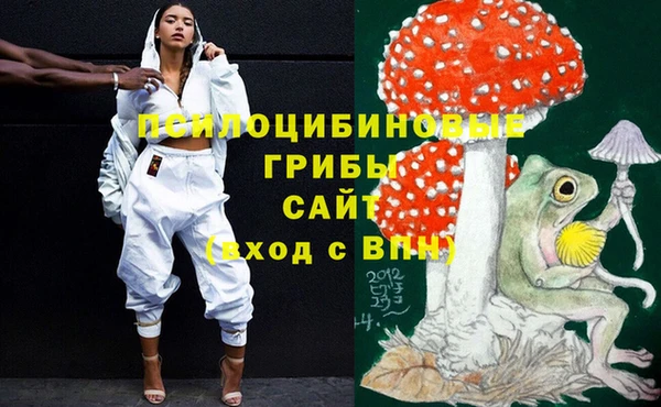 СК Белокуриха