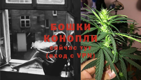 СК Белокуриха