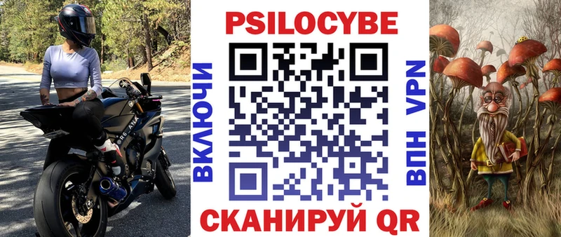 дарнет шоп Малмыж Галлюциногенные грибы прущие грибы